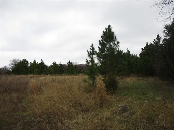 TBD Rains County Road 3040, Emory, TX 75440