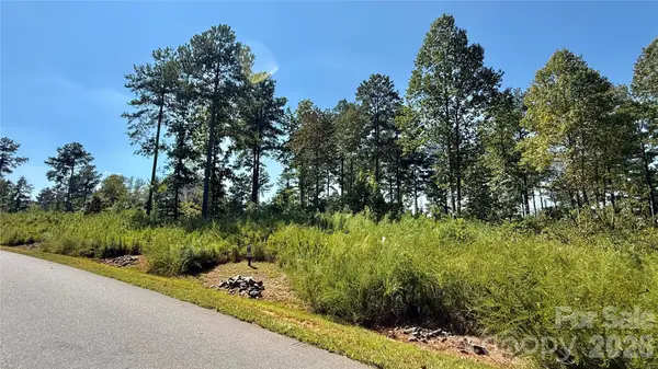 2119 Jumping RUN #185, Connelly Springs, NC 28612