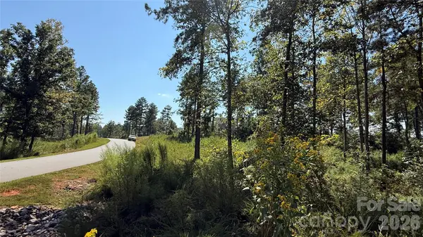 2119 Jumping RUN #185, Connelly Springs, NC 28612