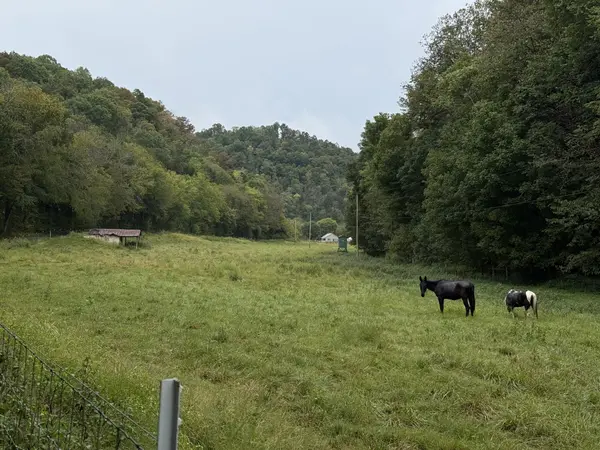 1611 Knob Creek Rd, Celina, TN 38551