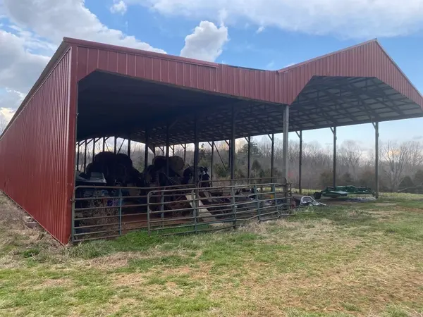 3348 Iron Creek Rd, Allons, TN 38541