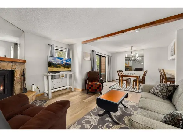 1050 S Saint Vrain #B-2, Estes Park, CO 80517