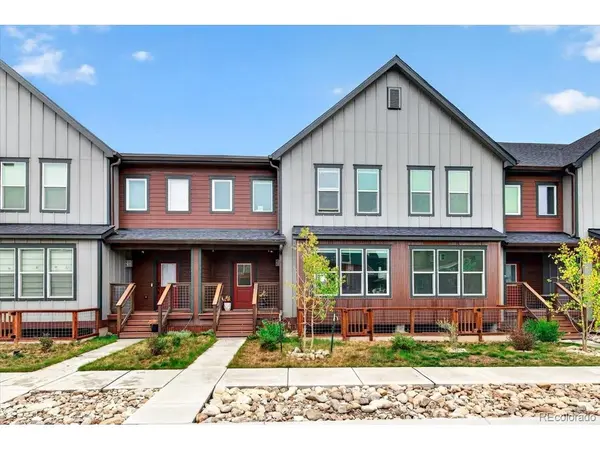 1317 Silver Vault, Leadville, CO 80461