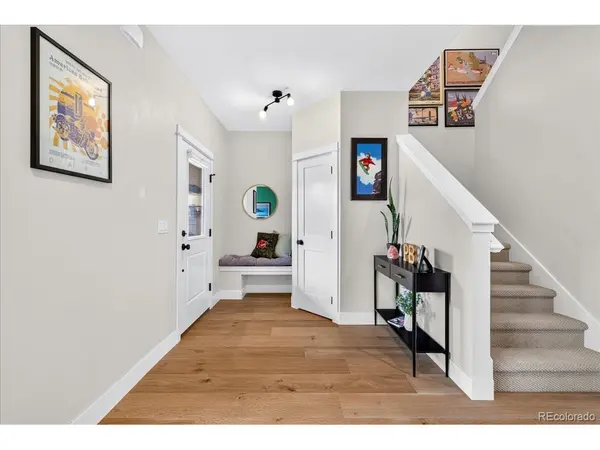 1317 Silver Vault, Leadville, CO 80461