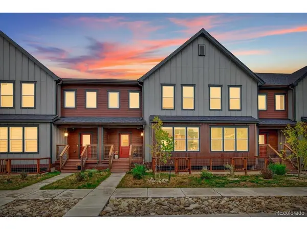 1317 Silver Vault, Leadville, CO 80461