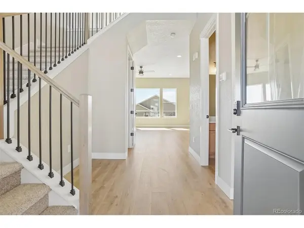 641 White Dove, Monument, CO 80132