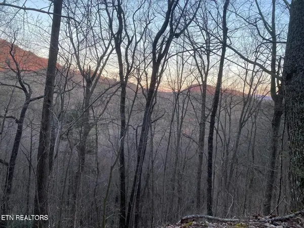 36 Elderberry Drive, Sevierville, TN 37876