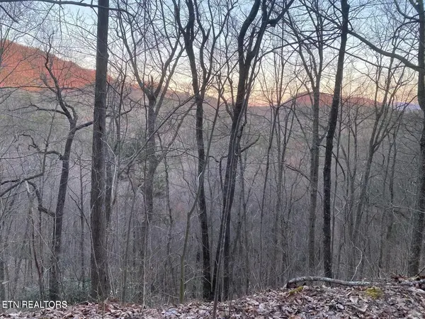 36 Elderberry Drive, Sevierville, TN 37876