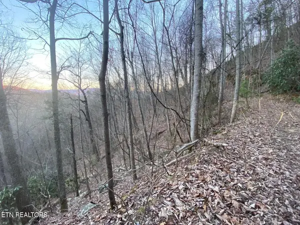 36 Elderberry Drive, Sevierville, TN 37876