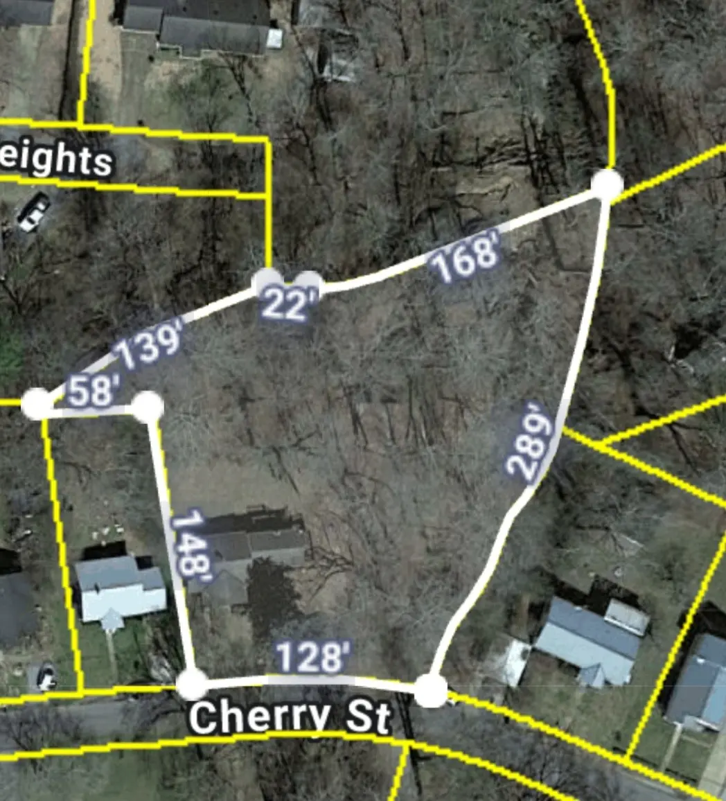 110 Cherry St, Centerville, TN 37033