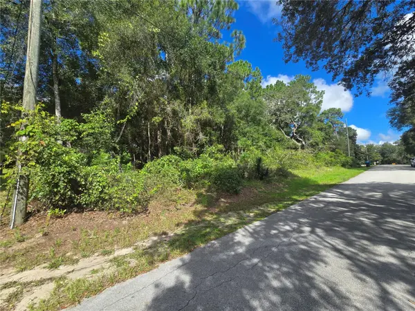 996 N CHARLES AVE, Inverness, FL 34453