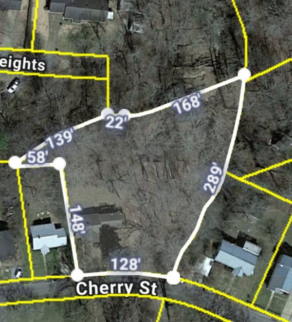 110 Cherry St, Centerville, TN 37033
