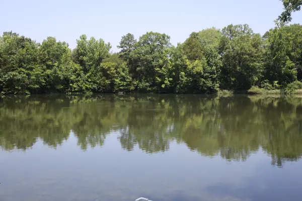 55 The Gates Drive, Decatur, TN 37322