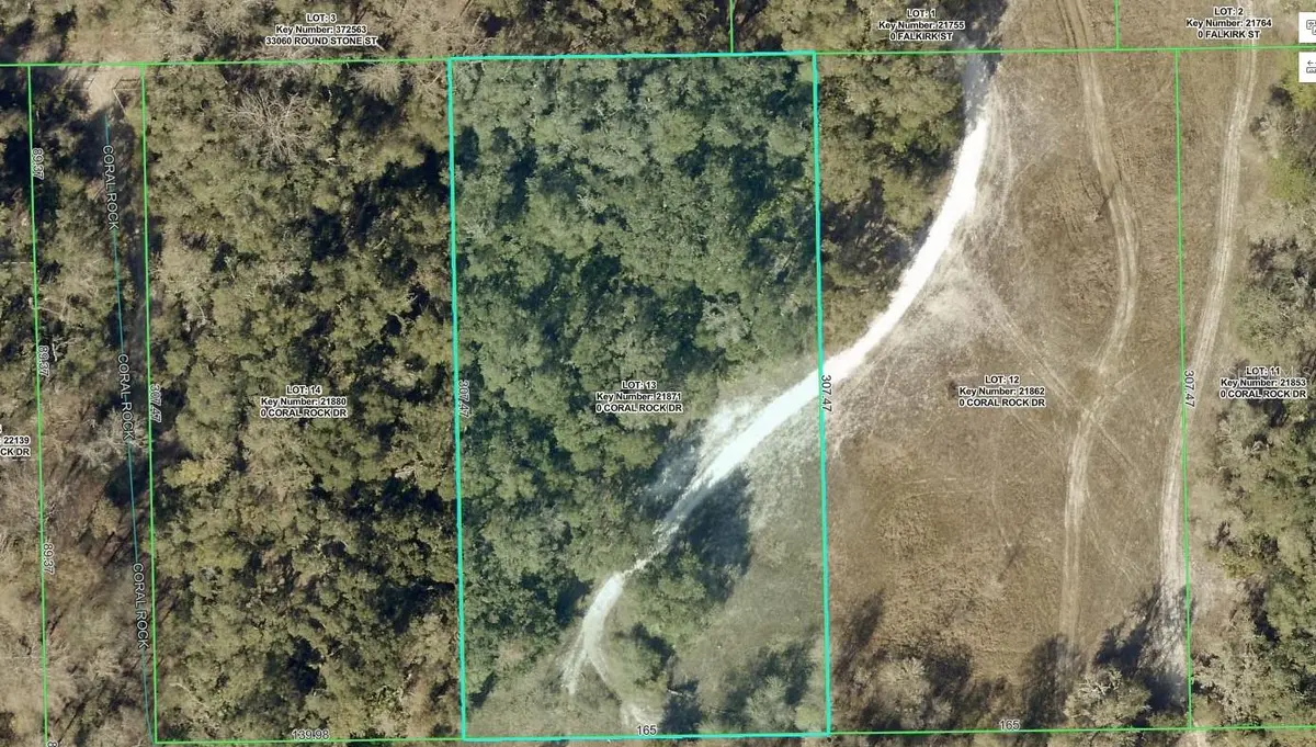 33099 CORAL ROCK DR, Webster, FL 33597
