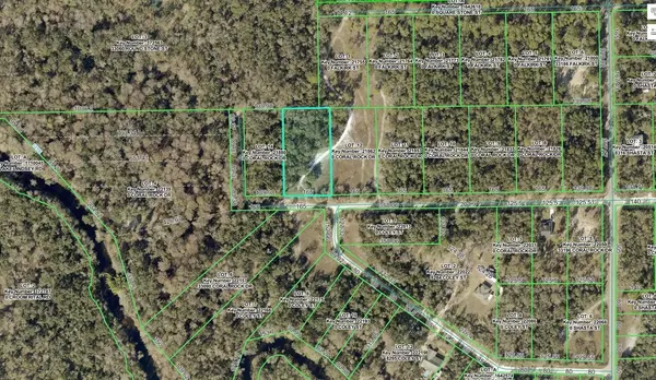 33099 CORAL ROCK DR, Webster, FL 33597