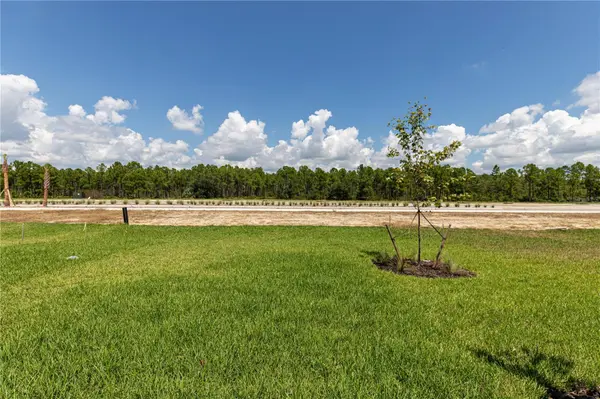 45126 PIPEVINE CIR, Punta Gorda, FL 33982