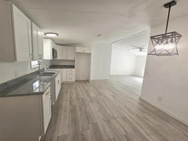 9485 ROUSSEAU ST, Webster, FL 33597