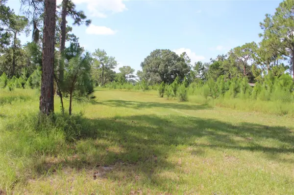 US HIGHWAY 98 W, Frostproof, FL 33843