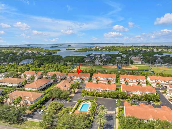1344 RIBOLLA DR, Palm Harbor, FL, 34683 photo 43