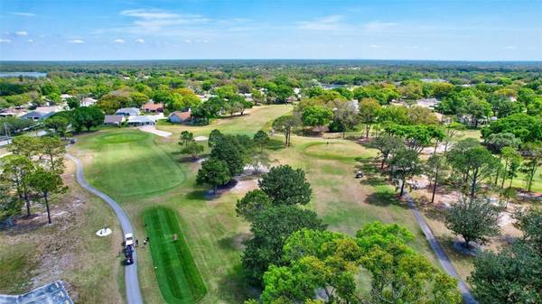 1617 KILWINNING CT, Palm Harbor, FL, 34684 photo 45
