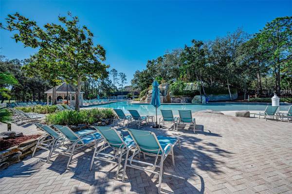 36750 US HIGHWAY 19 N #2769, Palm Harbor, FL, 34684 photo 78