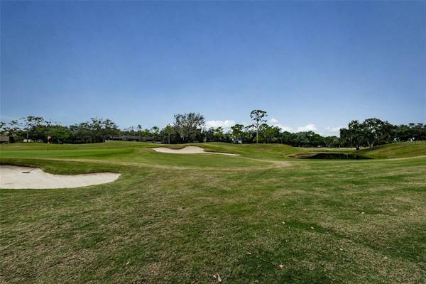 36750 US HIGHWAY 19 N #2769, Palm Harbor, FL, 34684 photo 43