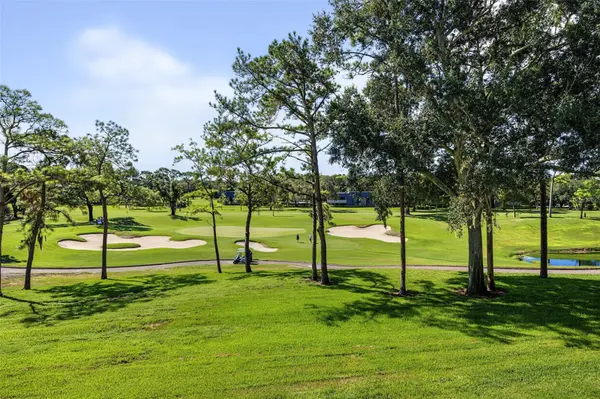 36750 US HIGHWAY 19 N #2769, Palm Harbor, FL 34684