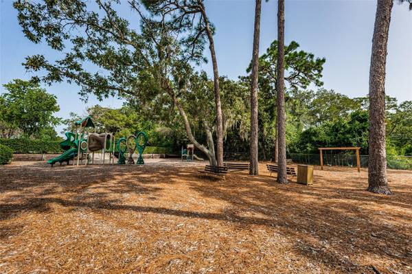 36750 US HIGHWAY 19 N #2769, Palm Harbor, FL, 34684 photo 47
