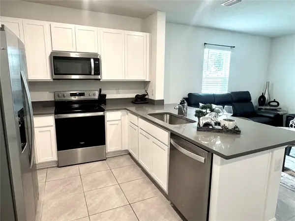 4463 RACHEL FALLS DR, Tampa, FL 33610
