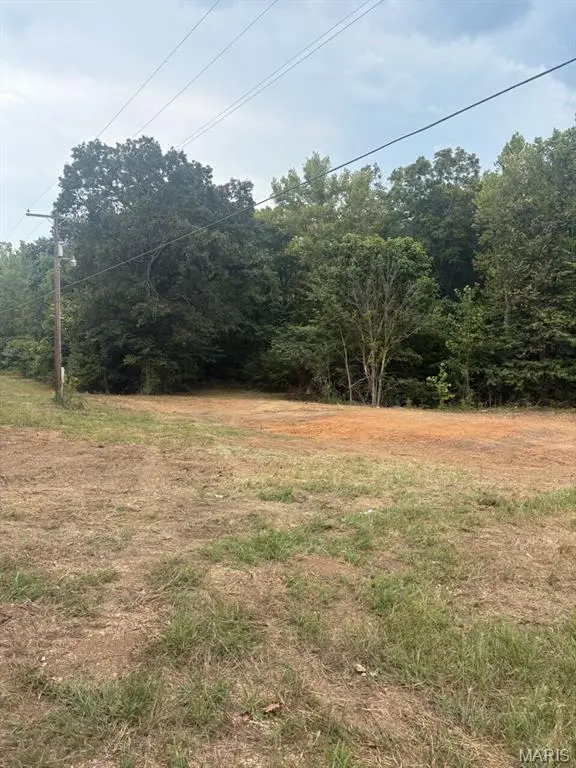 0 Wayne 213, Silva, MO 63964