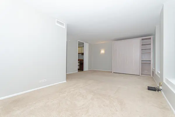 260 E CHESTNUT ST #2103, Chicago, IL 60611