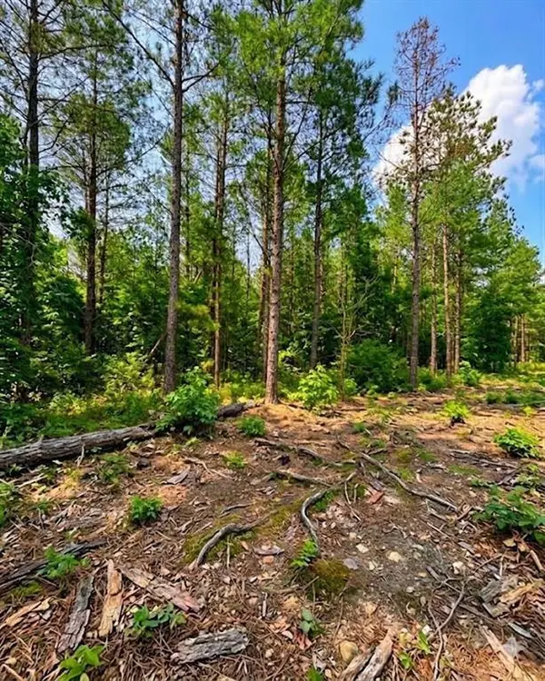 122 Southern Locust TRL, Broken Bow, OK 74728
