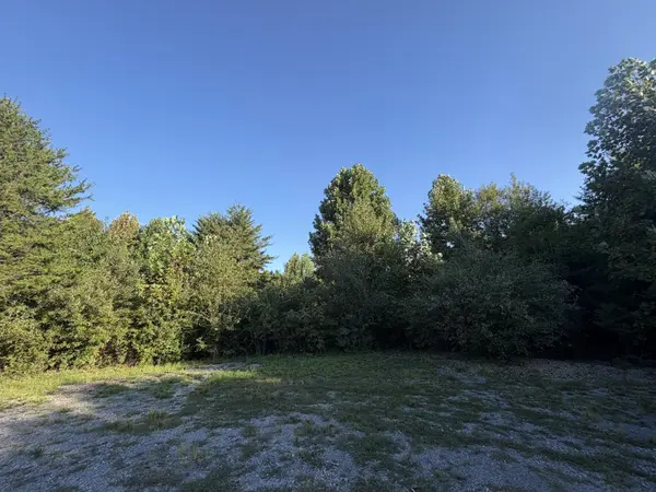 0 Jones Drive, Tellico Plains, TN 37385