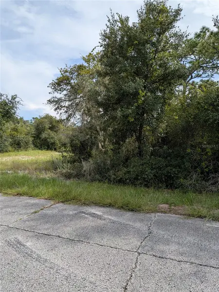 408 VERNON CT, Kissimmee, FL 34759
