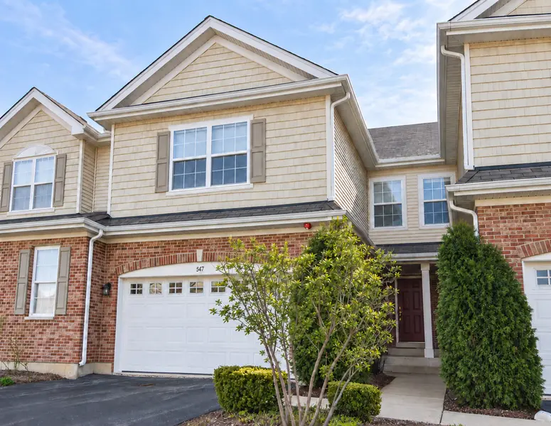 547 Bobby Ann CT, Roselle, IL 60172