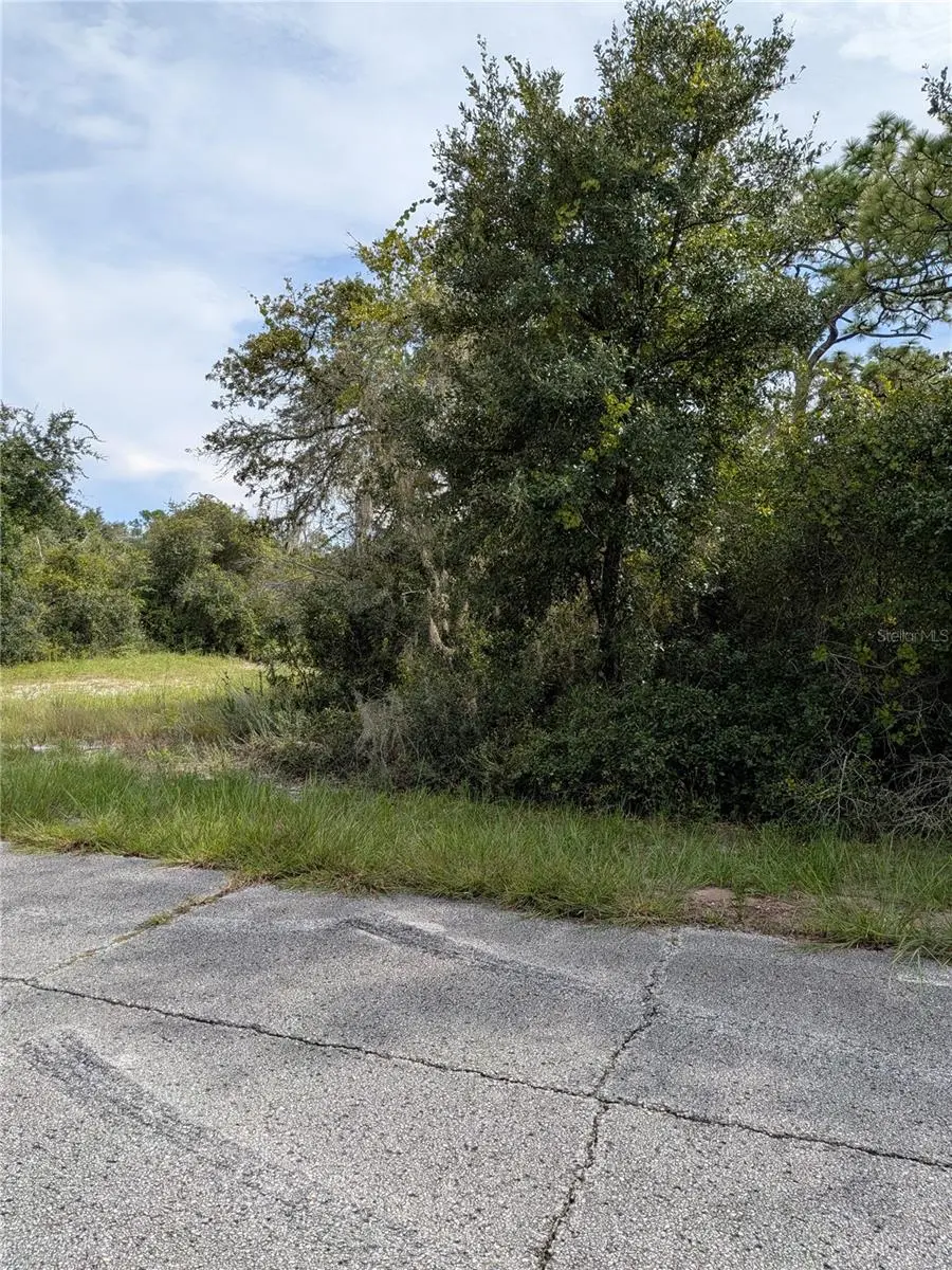 408 VERNON CT, Kissimmee, FL 34759