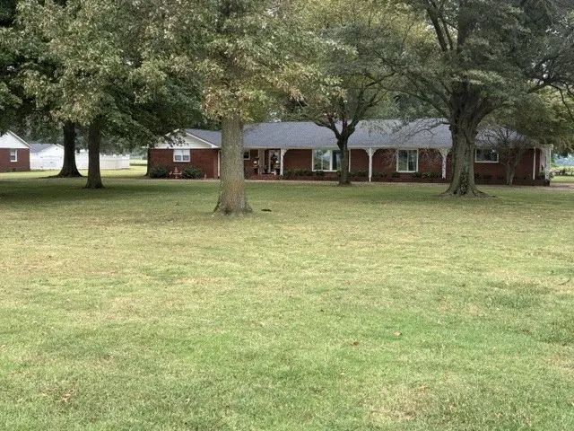 1015 Lake Dr, Tiptonville, TN 38079