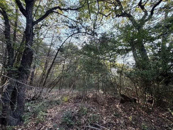 TBD LCR 894, Groesbeck, TX 76642