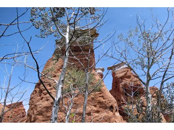 Address not disclosed, Sand Creek Township, CO 82070