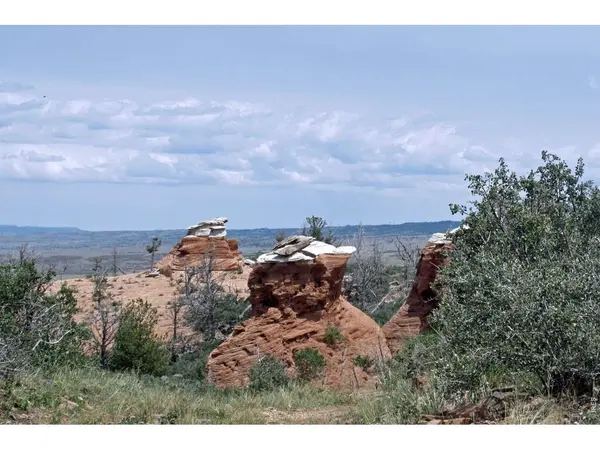 Address not disclosed, Sand Creek Township, CO 82070
