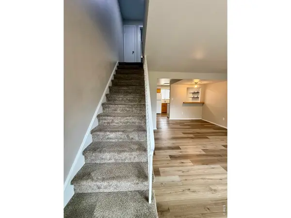 221 Chestnut #D2, Windsor, CO 80550