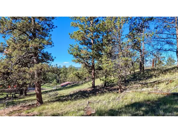 65 Utah, Florissant, CO 80816