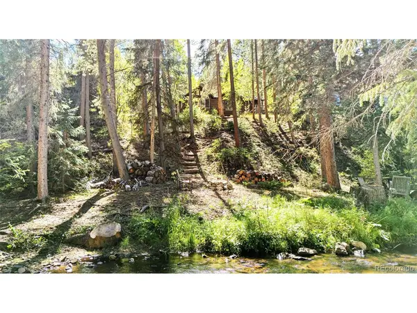 7739 County Road 43, Bailey, CO 80421