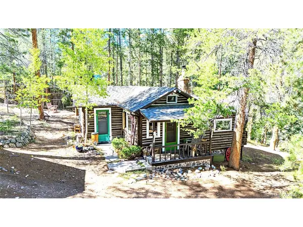 7739 County Road 43, Bailey, CO 80421