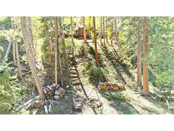 7739 County Road 43, Bailey, CO 80421