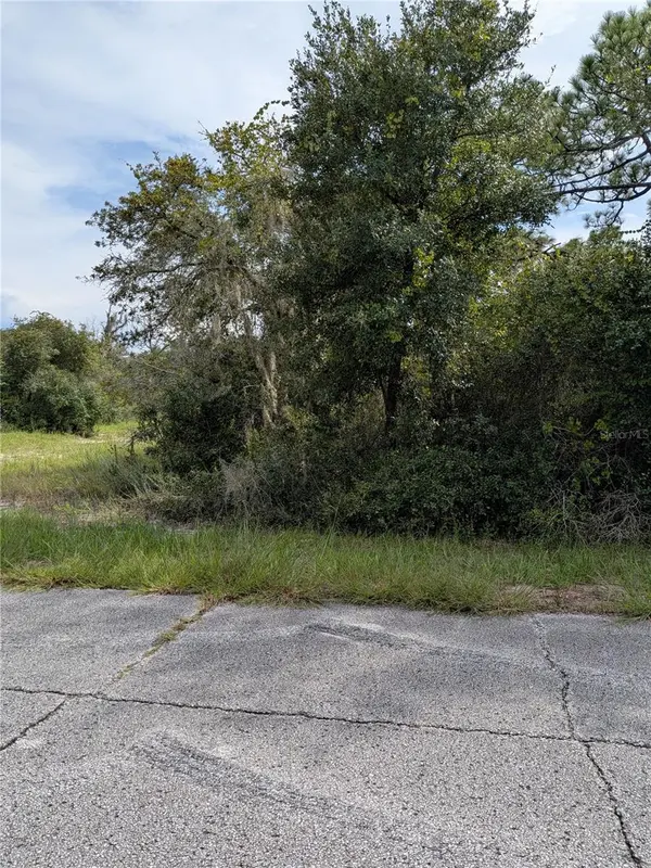 408 VERNON CT, Kissimmee, FL 34759