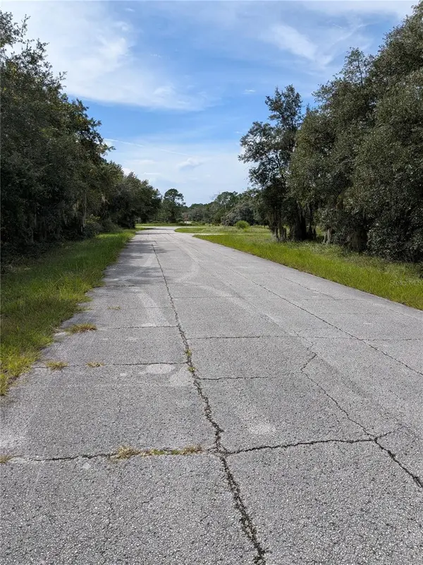 408 VERNON CT, Kissimmee, FL 34759