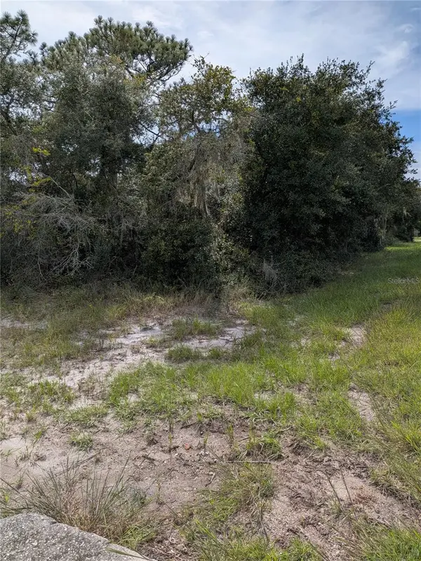 408 VERNON CT, Kissimmee, FL 34759