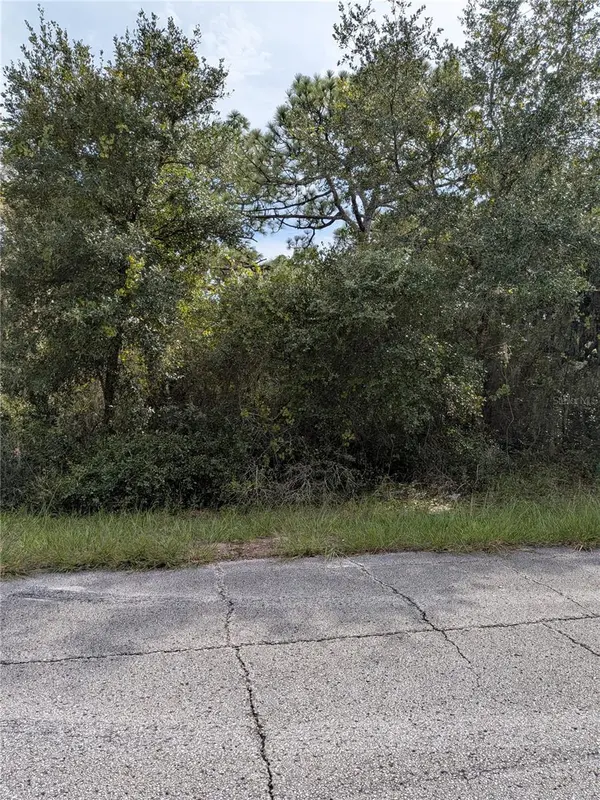 408 VERNON CT, Kissimmee, FL 34759