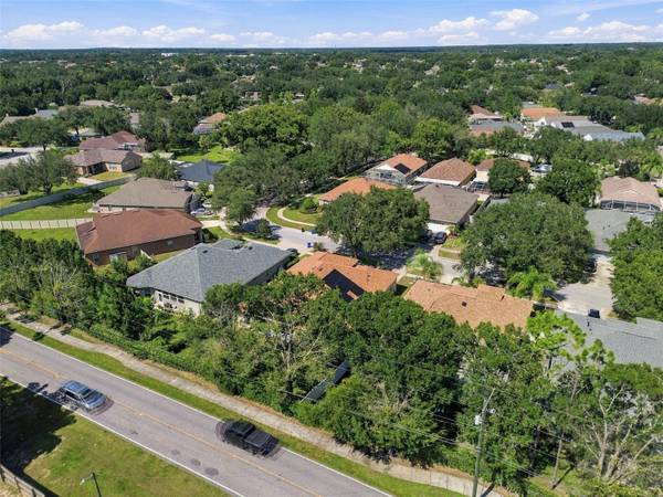 1815 WINN ARTHUR, Valrico, FL, 33594 photo 94